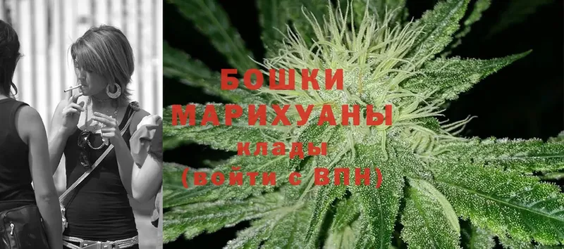 Канабис OG Kush  Бабаево 